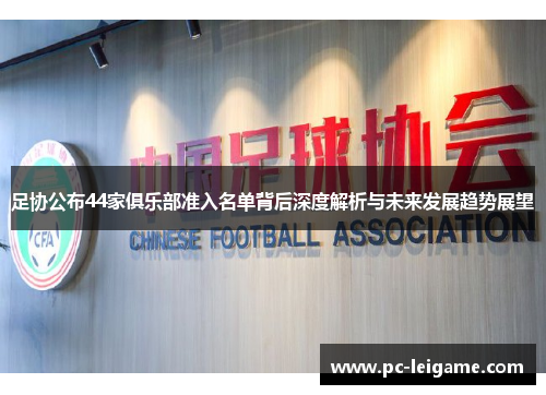 足协公布44家俱乐部准入名单背后深度解析与未来发展趋势展望