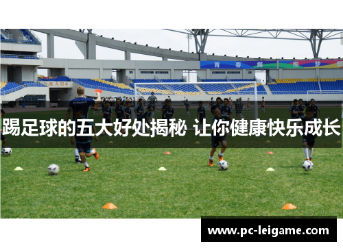 踢足球的五大好处揭秘 让你健康快乐成长 踢足球的五大好处揭秘 让你健康快乐成长