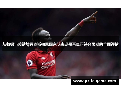 从数据与关键战看奥斯梅恩国家队表现是否真正符合预期的全面评估