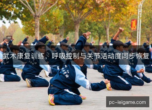 武术康复训练，呼吸控制与关节活动度同步恢复