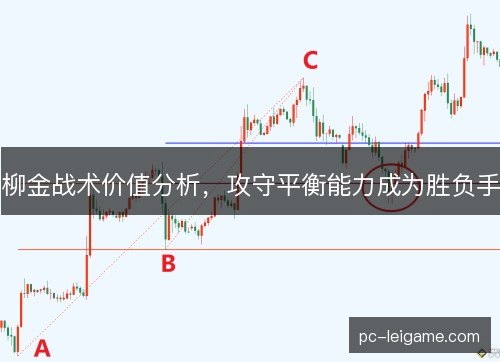柳金战术价值分析，攻守平衡能力成为胜负手